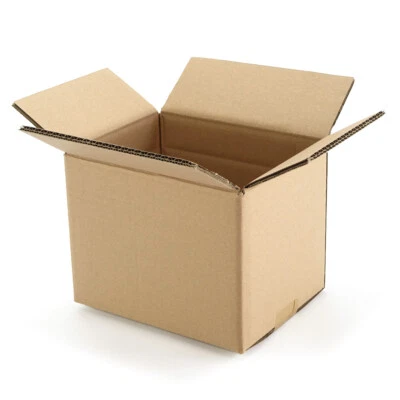 KARTON.EU 100 Zweiwelliger Karton Faltkarton Faltschachteln 220 x 170 x 160 mm