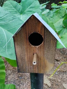 Schönes handgefertigtes Vogelhaus 9 Zoll hoch Kiefer gebrannt mit weißem Blechdach - Bild 1 von 6