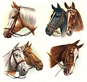 Horse Head Portrait Overglaze Waterslide Ceramic Decals - Picture 1 of 7