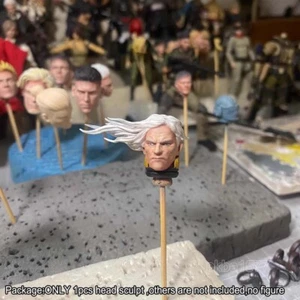 Premium Painted Man Head Sculpt Model For Joytoy Sanguinius Action Figure - Picture 1 of 3