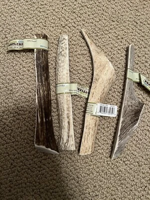 Prairie Dog Pet Products Elk Antler Treat, X-Large Split Bundle of 4, XL Size - Image 1 of 4