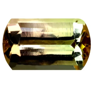 1.86 ct Octagon (10 x 6 mm) Unheated / Untreated Mozambique Bi- Tourmaline - Picture 1 of 2