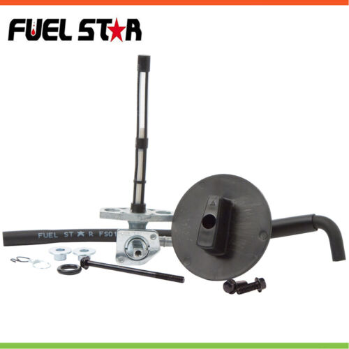 Fuel Star Fuel Valve Kit For HONDA TRX 250 97-01, TRX250 TE/TM RECON 02-04