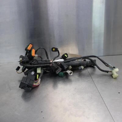 02-12 Suzuki VSTROM 1000 DL1000 Main Engine Wiring Harness - Image 1 of 4