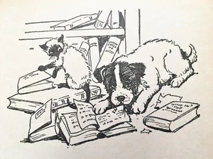 ENID BLYTON BIMBO AND TOPSY VINTAGE CAT DOG STORY HARDBACK 1969 - Picture 1 of 3