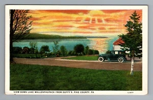 View Down Lake Wallenpaupack Pike County Pennsylvania 1920s Postcard - Picture 1 of 2