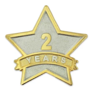 PinMart's 2 años de servicio Award Star reconocimiento corporativo doble chapado - Imagen 1 de 3