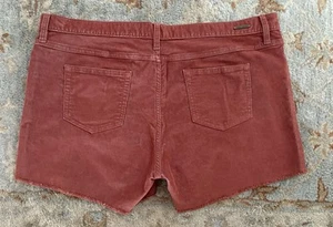 Carve Designs Oahu Shorts dunkelkoralle Größe 16 Title Nine Dogtown 4 Zoll - Bild 1 von 4