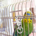 Clips de verrouillage à crochet Snap pour porte cage à oiseaux - 5 pièces - fiables et pratiques