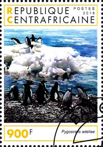 Animale animale selvatico uccellino pinguino pinguino di Adelia uccellino marino uccellino acquatico polare/201 - Foto 1 di 1