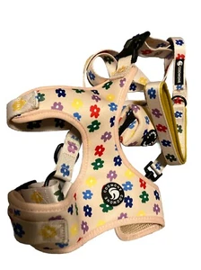 Hundegeschirr und Leine Set, verstellbares Geschirr und weich gepolstertes Hundeweste Geschirr - Bild 1 von 1