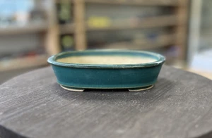 Maceta Bonsai Japonesa "Hattori" Firmada 15.7cm/6.2in Delgada Forma Ovalada Verde NUEVA - Imagen 1 de 6