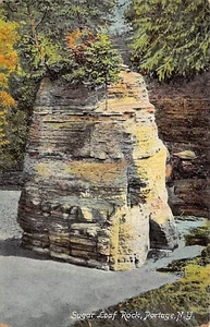 Postal NY: Sugar Loaf Rock, Portage, Nueva York, DB 1910 sin publicar - Imagen 1 de 2