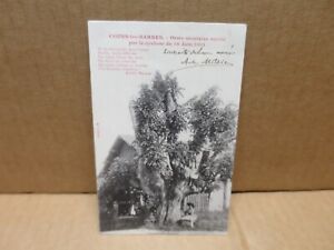 COURS LES BARRES (18) arbre ormes mutilé par cyclone 1901 autographe A MILLIEN