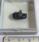 minéraux grenat demantoide cristallisé sur guangue UTAH U.S.A  superbe 9 mm