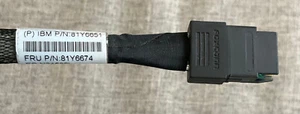 IBM - CABLE MINI SAS A MINI SAS FOXCONN 81Y6651/81Y6674 X3650 M4 34" - Imagen 1 de 5