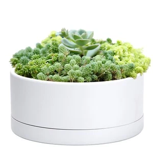 D'vine Dev 10 Inch Plastic Shallow Planter, Large Round Succulent Plant Pot w... - Picture 1 of 7