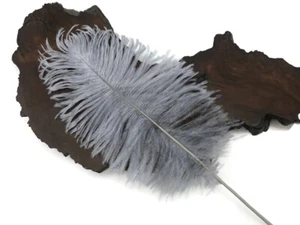 10 pezzi - Costume centrotavola piume grandi coda di struzzo grigio argento 12-16" - Foto 1 di 10