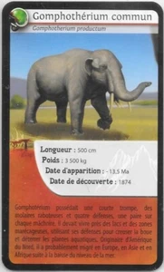 Carte Bioviva! - Gomphothérium commun - Picture 1 of 2