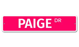6932 SS Paige 4" x 18" Novità Cartello Stradale Alluminio - Foto 1 di 2