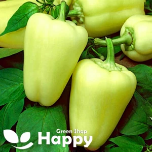 VEGETABLE SEEDS SWEET PEPPER CITRINA - 100 seeds - Pale Green Variety - Picture 1 of 1