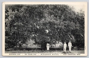 Postal de colección Pass Christian Mississippi MS Miramar Hotel Miramar Oak Tree - Imagen 1 de 2