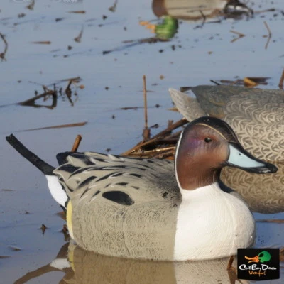 AVERY GREENHEAD GEAR GHG OVERSIZE PINTAIL DUCK DECOYS WEIGHTED KEELS 6 - Image 1 of 4