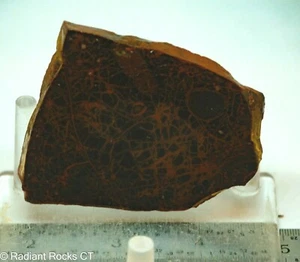 Spiderman Jasper Lapidary Slab 2.2 oz (61 grams) - Picture 1 of 4
