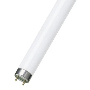 T8 25W Watt Fluorescent Tube Aquarium Fish Tank Daylight WHITE 10,000K Light 30" - Picture 1 of 1