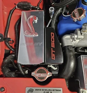Ford Mustang 2011-2014 cubierta ecu (elige el logotipo y el color del logotipo) ¡Ajuste a presión! - Imagen 1 de 12