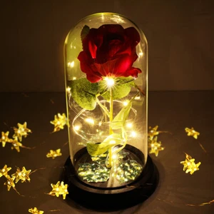 LED Light Beauty and the Beast Enchanted Rose In Glass Dome Valentines Day Gift - Picture 1 of 14