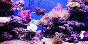 Aquarium Background Poster Coral PVC Fish Tank Decorations Landscape 96x30 inch