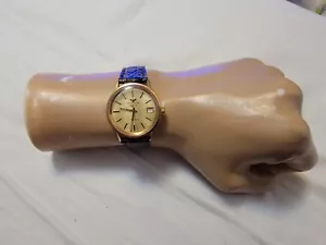 Rare Vintage Wittnauer Geneve 6533C11AG/D11AG Gold Plated Automatic Men's Watch - Picture 1 of 9