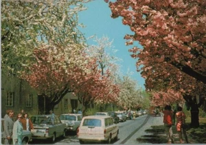 Berlin, GemanyContinental Chrome Postcard - Picture 1 of 2