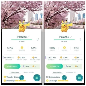 Pikachu Spring Blossom Trade (Male Or Female Non Shiny) - Afbeelding 1 van 1