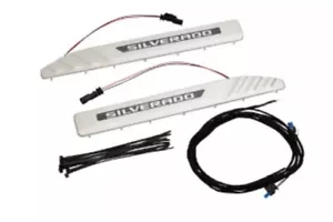 Chevrolet Silverado Illuminated Door Sills - 85527845 - Foto 1 di 1
