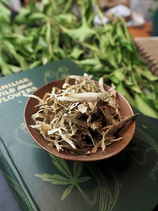 English Tree Barks for Incense & Spell makings - Wicca, Pagan, Magic, Witchcraft - Picture 1 of 96