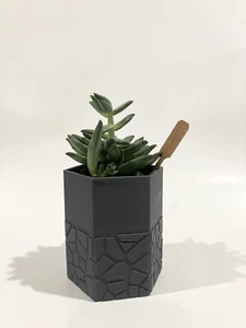3D-Printed Self Watering Planter (Succulents, Cactus, Herbs) - Picture 1 of 8