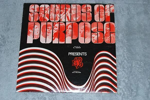 *NEW SEALED!* SOUNDS OF PURPOSE Al Hawker LIFE Otis Skillings XIAN PSYCHE LP - Picture 1 of 2