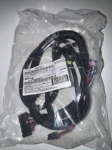 Molex Cable KIT HARN, LOW VOLT,RIGHT, FF3, 18A K, S, A-123997  P/N   0369100019 - Picture 1 of 3