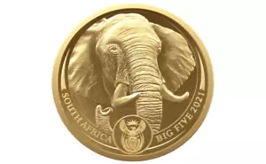 50 Rand BIG FIVE II Elephant Elefant Südafrika South Africa 1/4 oz Gold PP 2021 - Bild 1 von 4