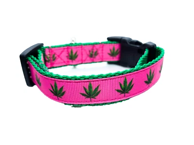 Collar Hoja Maceta Rosa Pequeño 3/4" Ancho, Collar Gato Ajustable, Conejo, Hurón Foto 1 de 4
