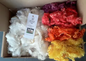 Wensleydale Spinnbox im Herbst - Bild 1 von 2