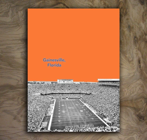 Florida Gators Sports Poster NCAA Football Art Print Rare Hot New 12x16" Cover
