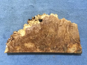 Natural edge Maple Burl Crafts Woodworking Turning 1 1/8" x 7 1/4" x 14" #1822 - Picture 1 of 6
