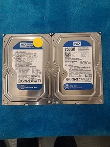 DISCOS DUROS X2 Western Digital WD2500AAKX-250Gb Plus WD1600AAJS-160GB. PRE-POSEÍDO - Imagen 1 de 11