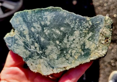 rawk11: Flower Jade slab-Nephrite Jade with"Flower" inclusions-Wyoming! - Image 1 of 4