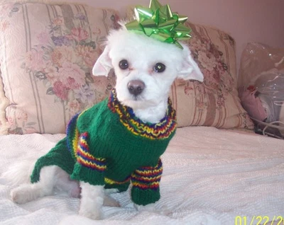 Handmade Wool Puppy Dog Sweater XXS 9 inch - Image 1 of 4