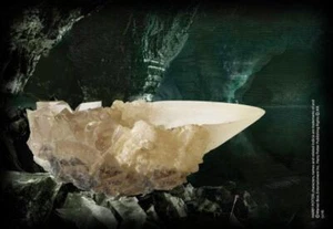 Harry Potter Replik Kristall-Kelch - Bild 1 von 2