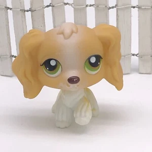 ❤️ Littlest Pet Shop Lps Cocker Spaniel #79 Hund - Bild 1 von 4